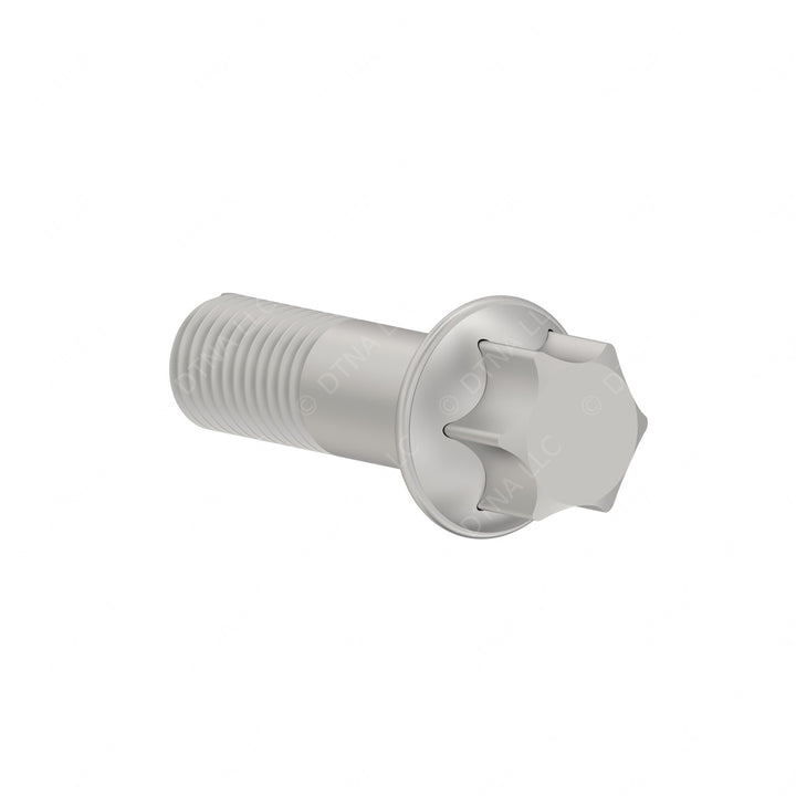 DDE N910142010006 BOLT