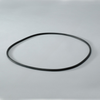 DN  P017335 O-RING