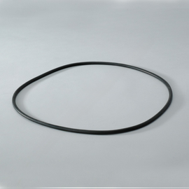 DN  P017335 O-RING