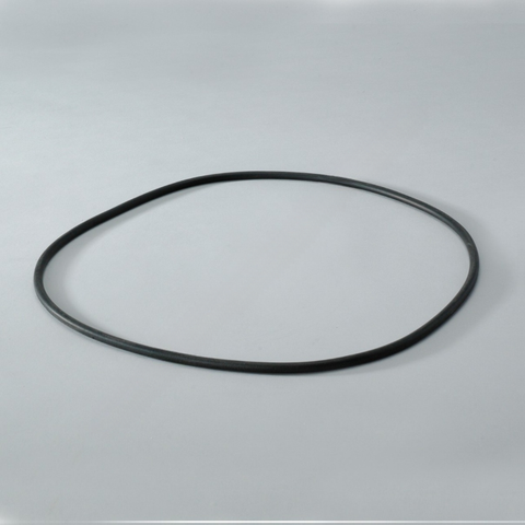 DN  P017335 O-RING
