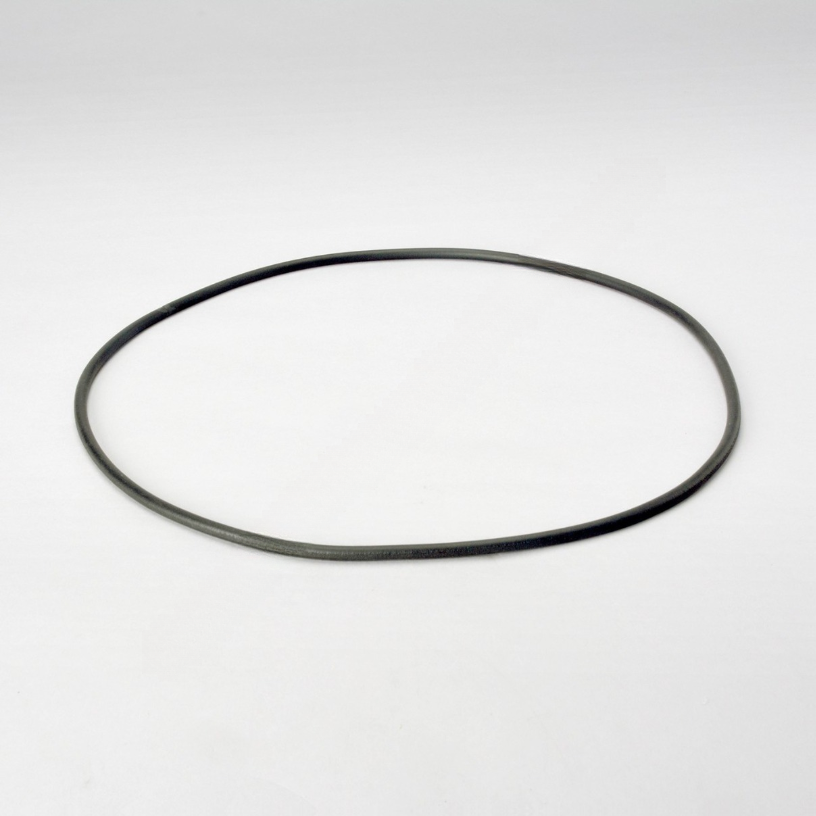 DN  P017336 GASKET