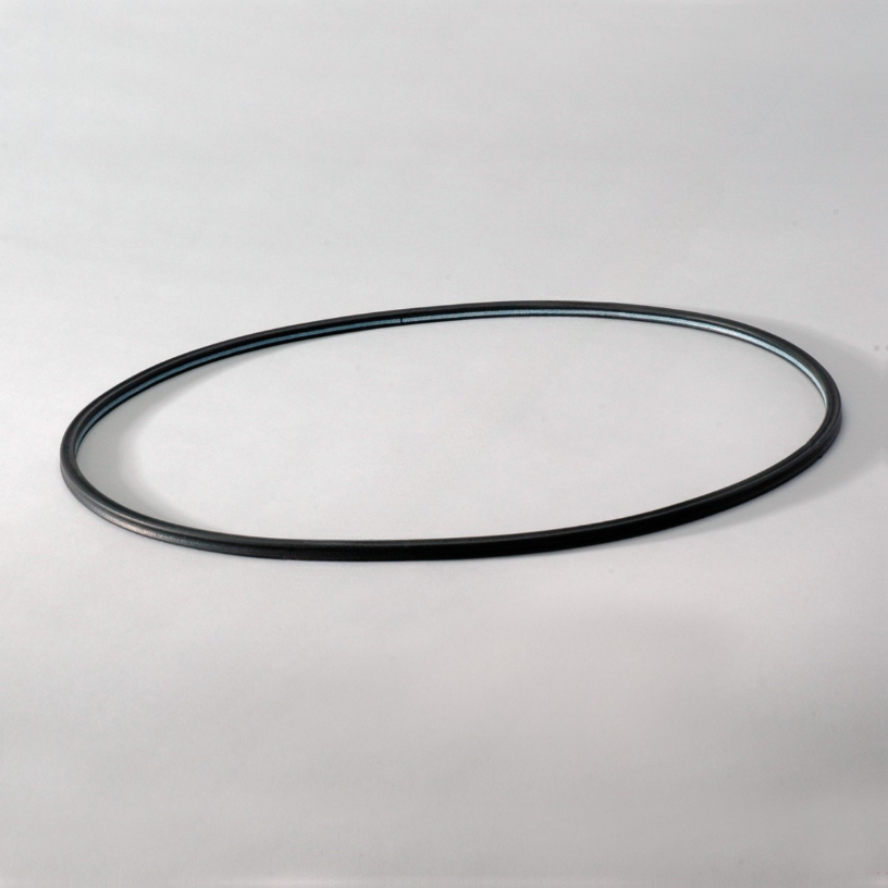 DN  P017367 GASKET