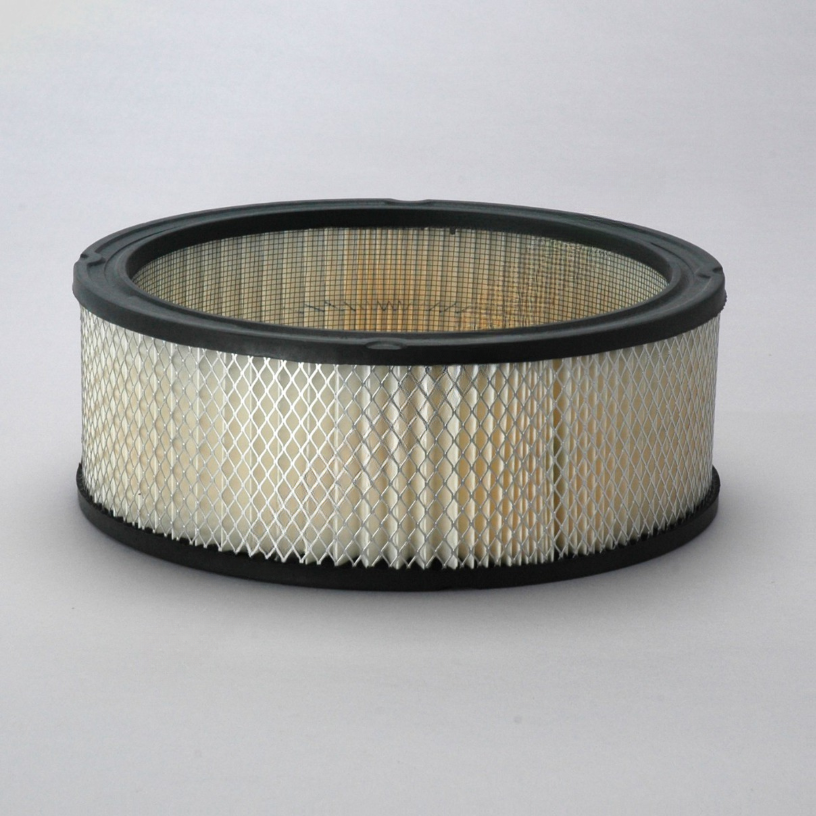 DN  P524351 FLTR AIR GAS