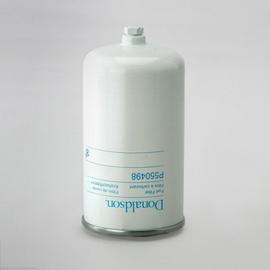 DN  P550498 FF/WS FILTER