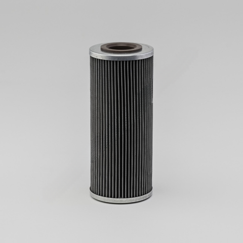 DN  P579713 STRAINER