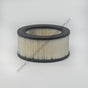 DN  P606279 AIR FLTR