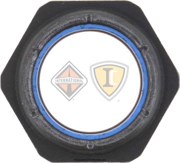 DS095207 NUT PINION