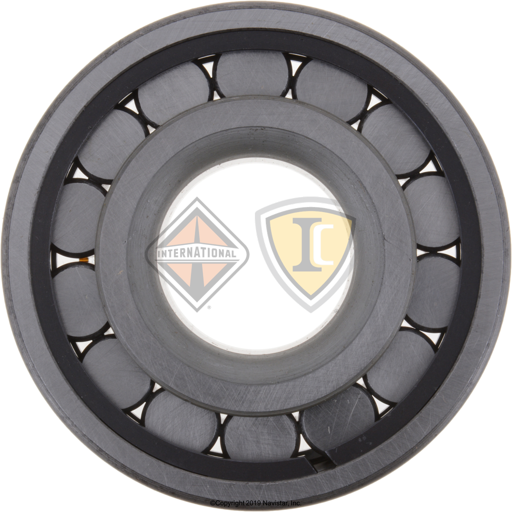 DS126187 BEARING