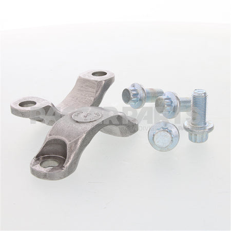 DS170-70-18X TRP 170 BRG STRAP  KIT