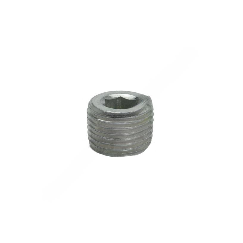 DVC 020909 PLUG