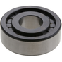 ETN 127051 PILOT BEARING