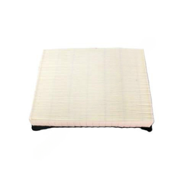 FG  AF25757 LT DUTY AIR PANEL