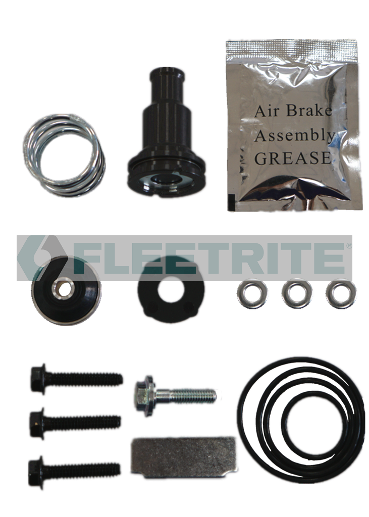 FLTBV5037 FLEETRITE PURGE VALVE