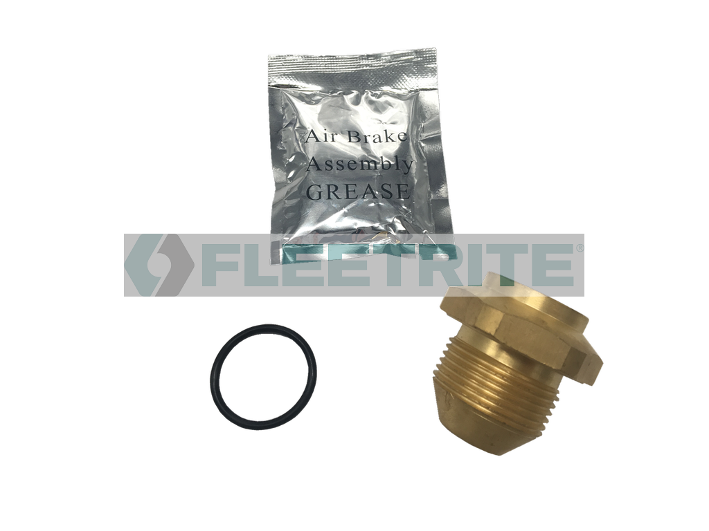 FLTBV7800 FLEETRITE CHECK VALVE