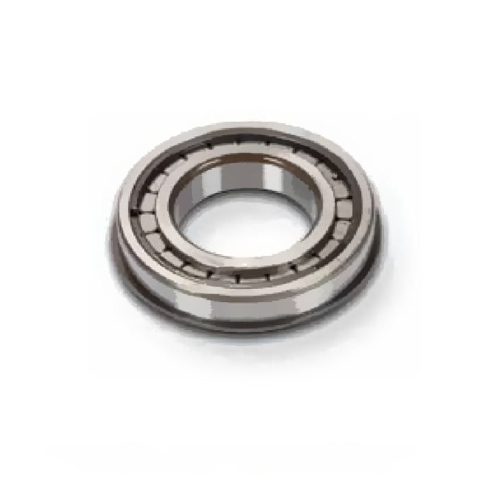 FUL 4306650 CLUTCH, SLG (M/S)