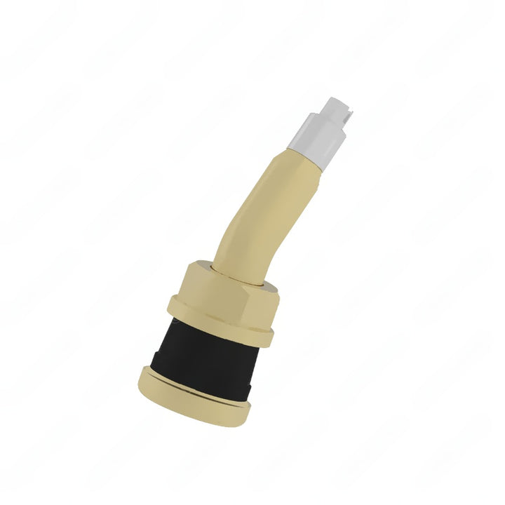 GAF P115579 VALVE,23X25.4 LONG