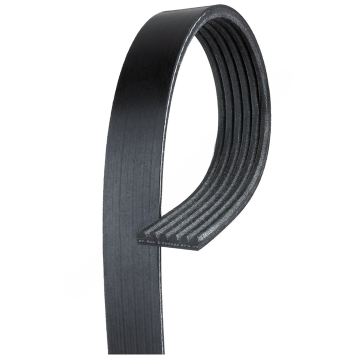 GT  K060834 K060834 MICRO-V BELT