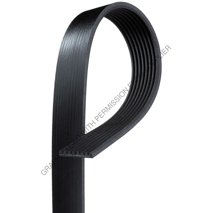 GT  K081005 MICRO-V BELT
