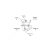 HDX KN26010X VALVE SPG BRK RT4