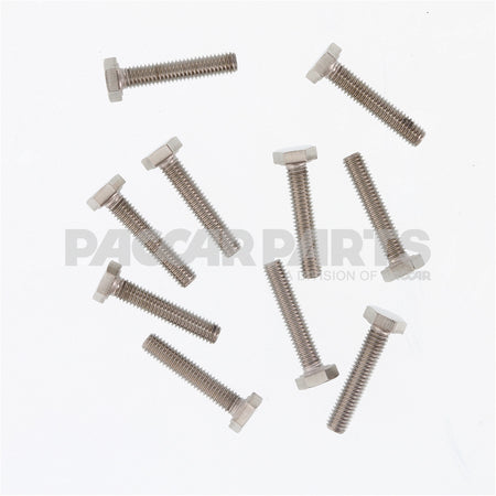 HWC04460 BoltHex M6100X30 Ss Pol