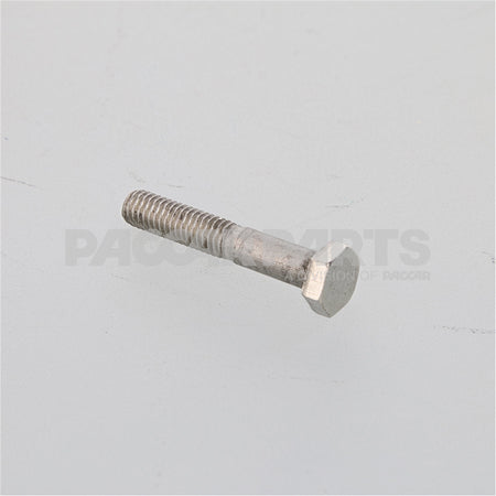 HWC04468 BoltHex M6100X50 Ss Pol