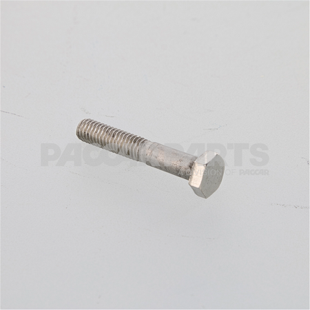 HWC04468 BoltHex M6100X50 Ss Pol