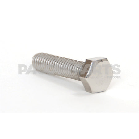 HWC04480 BoltHex M6100X25 Ss Pol