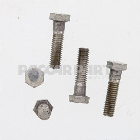 HWC06440 BoltHex 3816Ncx112 Ss Pol