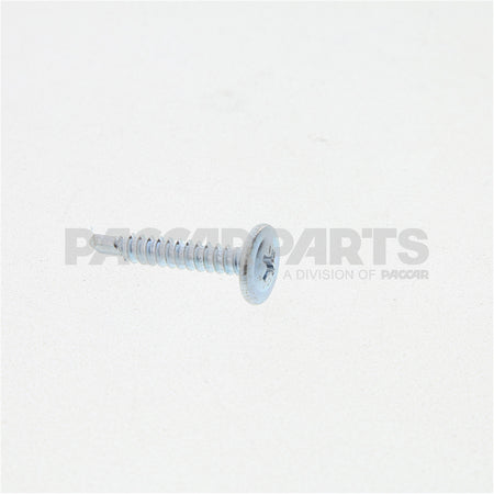 HWC06579 Screw Assy2 Drill Point PhSq