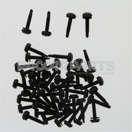 HWC06949 ScrewTapping Rnd Psd 1024X1 Sd Xwshr