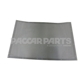 K352-206 Screen-Bug 42 x 29 inch