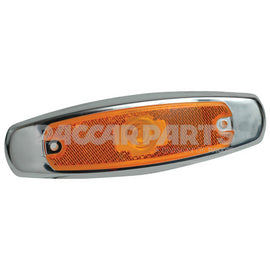 LL047101 LampLed Pb Mrkr Ambr