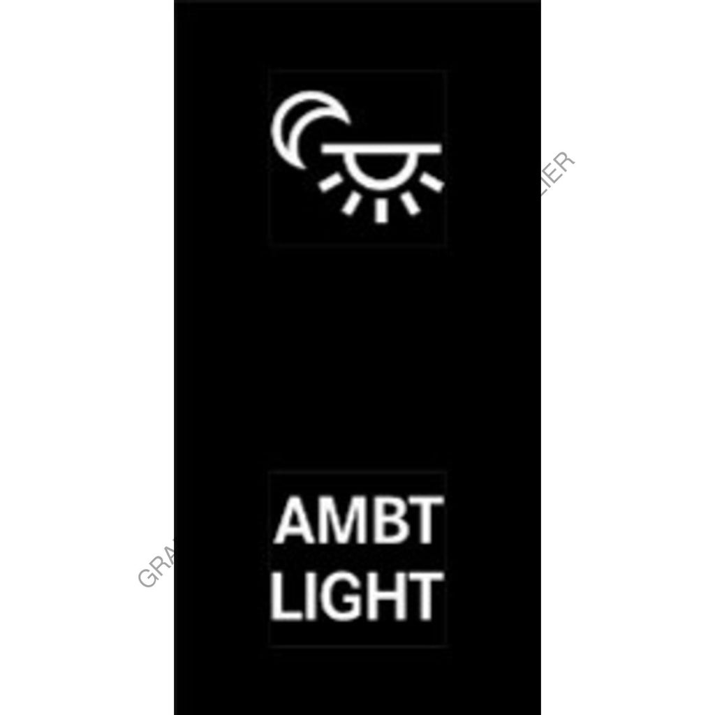 MQT 22G0002 RCKR-M2,2POS,AMBT LIGHT