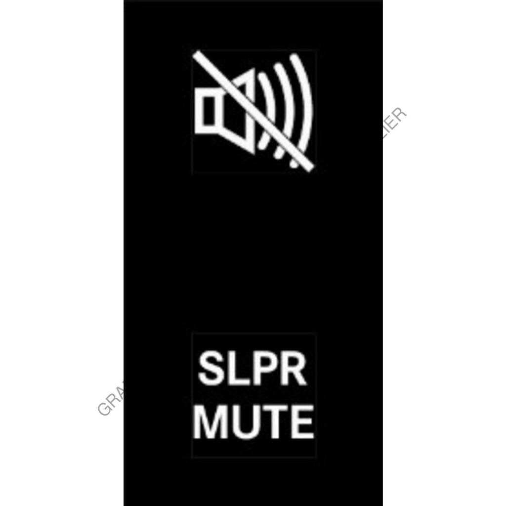 MQT 22G0090 FLT, 2 POS, SLPR MUTE