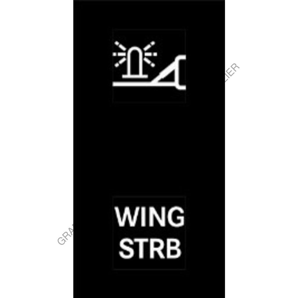 MQT 22G0232 RCKR-M2,2POS,WING STRB