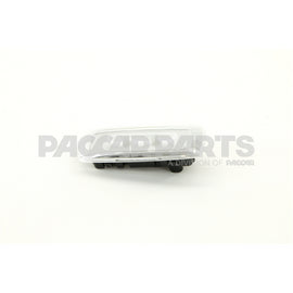 P54-1195-100 Lamp  Door Pad