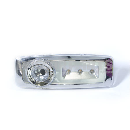 P54-1203-100 Lamp-Overdoor/Combination