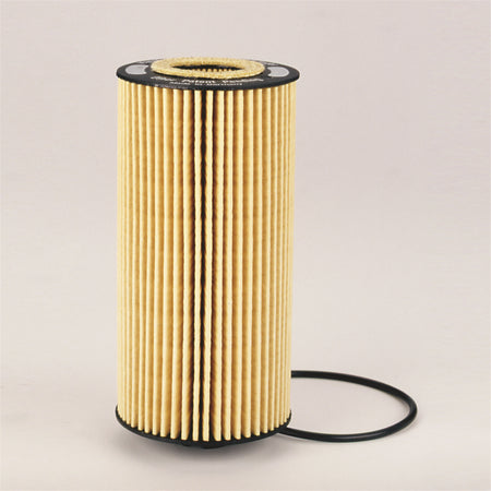 P550528 FilterLube