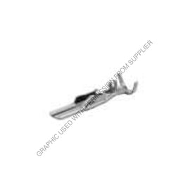 PAC 12064737 L TERM,MALE,M/P