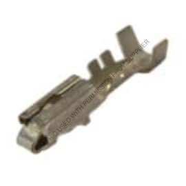 PAC 12110847 L TERM,BLD,FEM,280 M/P