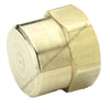 PH  213P 8 PIPE CAP