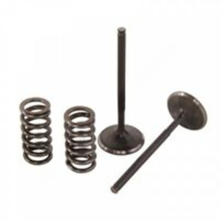 SIS 91122 06001 SHAFT SEAL