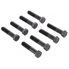 SP  815300017 BOLT