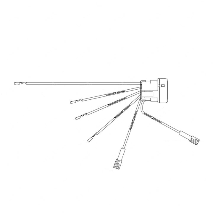 TBB 214309 HARNESS OVERLAY DOME LIGHT ACT WAKEUP C2