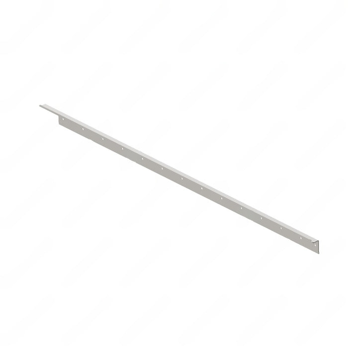 TBB 219989 DRIP MOLDING FRT HOOD RS