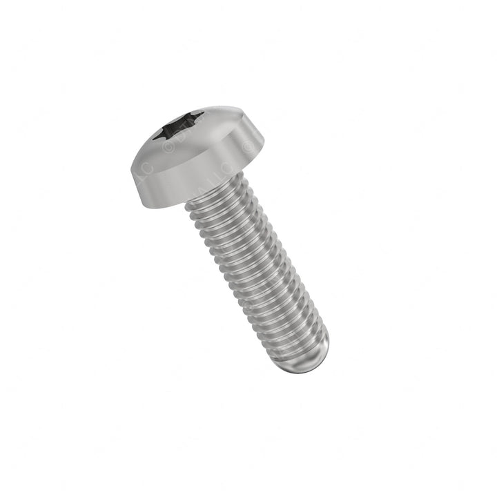 TBB 69002171 SCREW-MACHINE,1/4-20