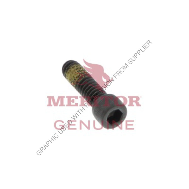 TDA 10X1519 CAPSCREW