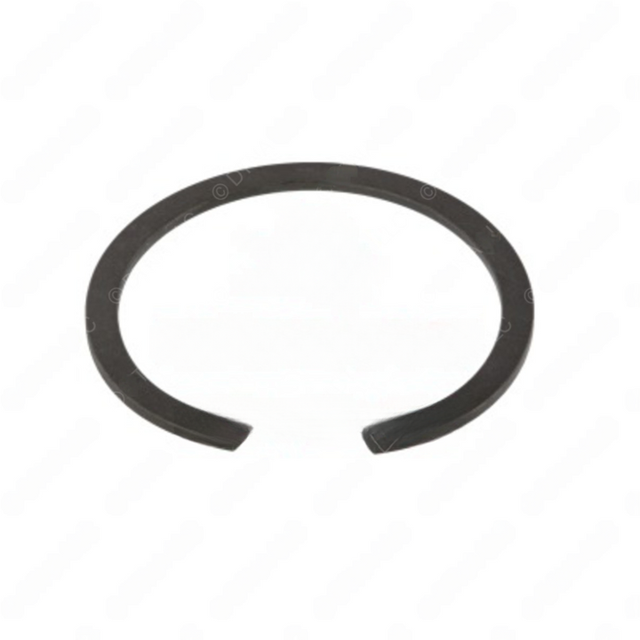 TDA 1229F4660 RING, RETAINER