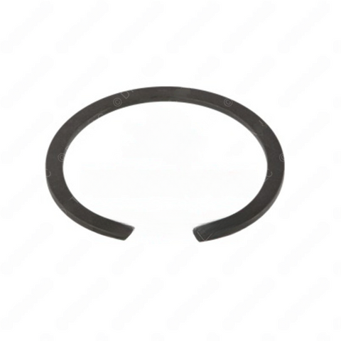 TDA 1229F4660 RING, RETAINER