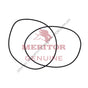TDA 5X1343 O-RING
